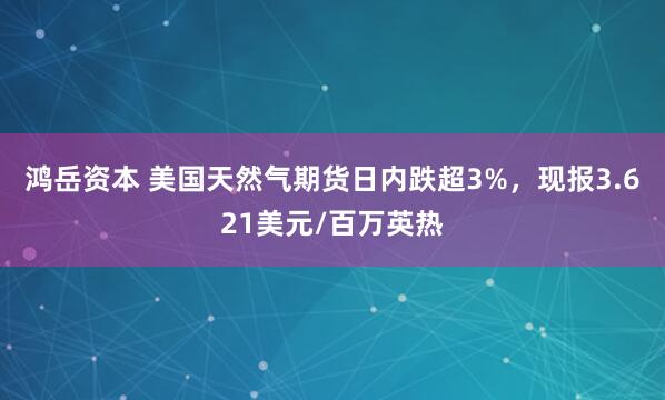 鸿岳资本 美国天然气期货日内跌超3%，现报3.621美元/百万英热