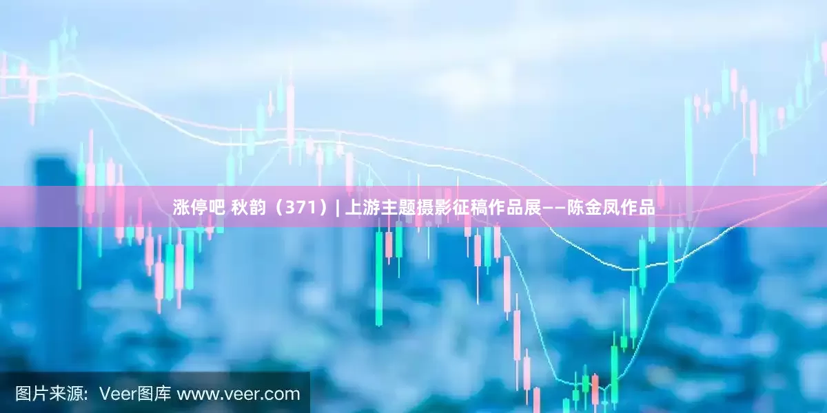 涨停吧 秋韵（371）| 上游主题摄影征稿作品展——陈金凤作品